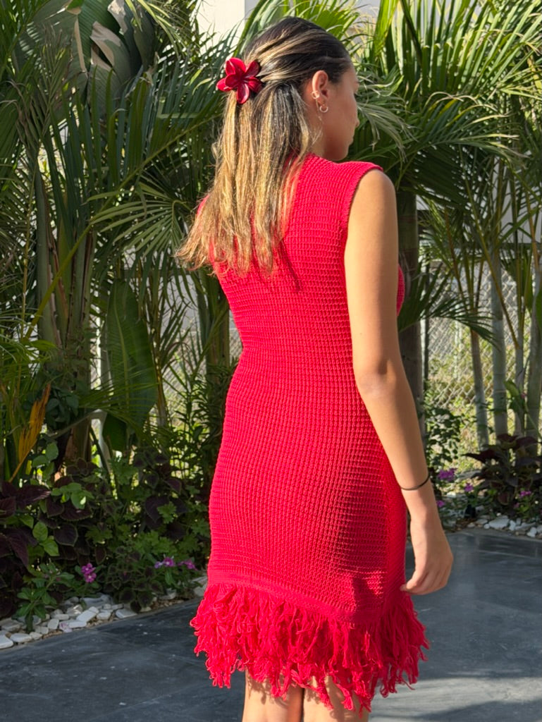 The Fringe Dress